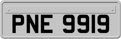 PNE9919