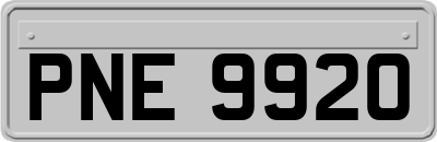PNE9920