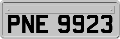 PNE9923