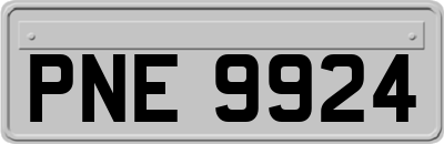PNE9924