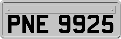 PNE9925