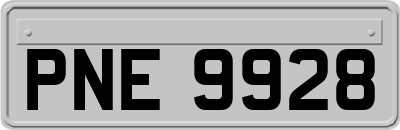 PNE9928