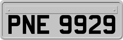 PNE9929