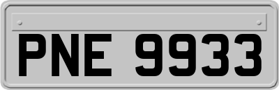 PNE9933