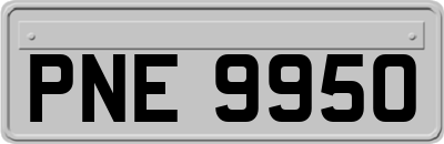 PNE9950