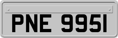 PNE9951