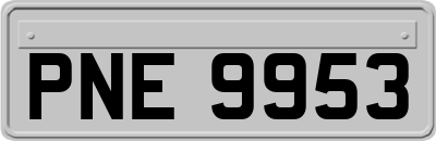 PNE9953