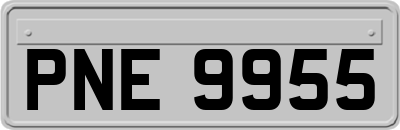 PNE9955
