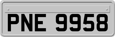PNE9958