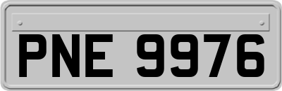 PNE9976