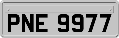 PNE9977