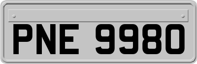 PNE9980