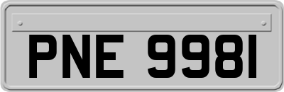 PNE9981
