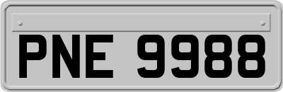 PNE9988