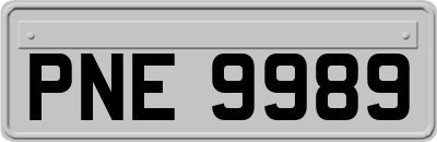 PNE9989