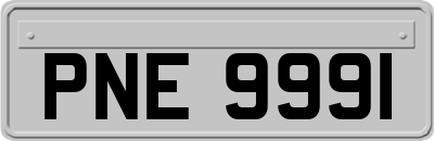 PNE9991