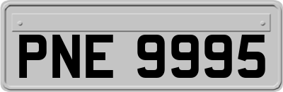 PNE9995