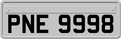 PNE9998