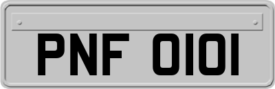 PNF0101