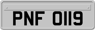 PNF0119