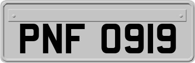 PNF0919