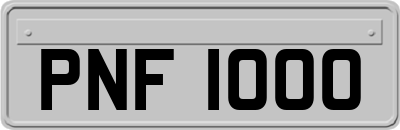 PNF1000