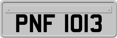 PNF1013