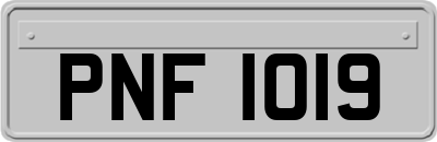 PNF1019