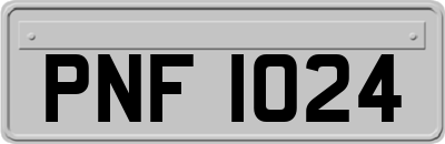 PNF1024