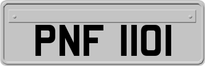 PNF1101
