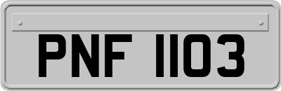 PNF1103