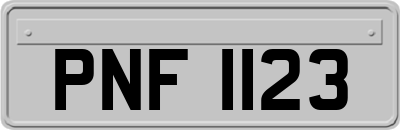 PNF1123