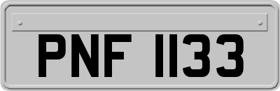 PNF1133
