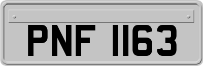 PNF1163