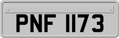 PNF1173