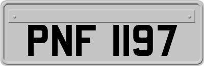 PNF1197