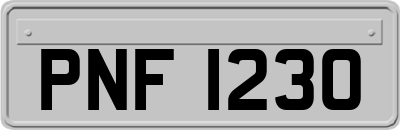 PNF1230