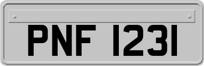 PNF1231