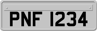 PNF1234