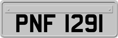 PNF1291