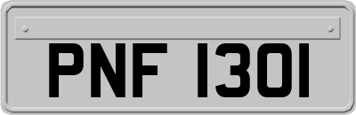 PNF1301
