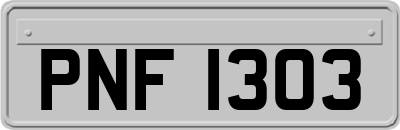 PNF1303