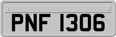 PNF1306