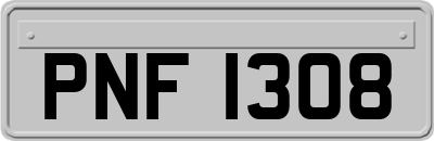 PNF1308
