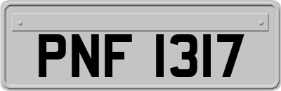 PNF1317