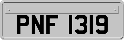 PNF1319