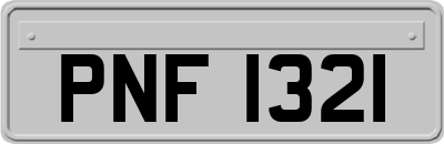 PNF1321