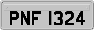 PNF1324