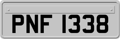 PNF1338