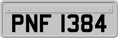PNF1384